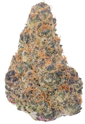 The High Co - BlockBerry (Hybrib)